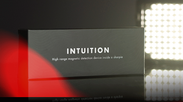 Intuition