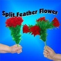 split feather flower