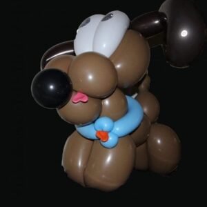 Ballonnen om cadeau te doen aan de jarige