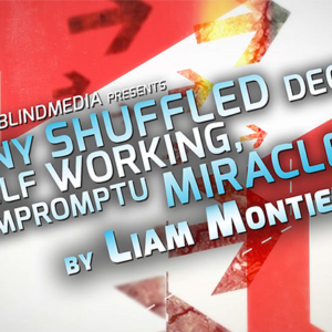 Any Shuffled Deck - Self-Working Impromptu Miracles by Big Blind Media (video download)