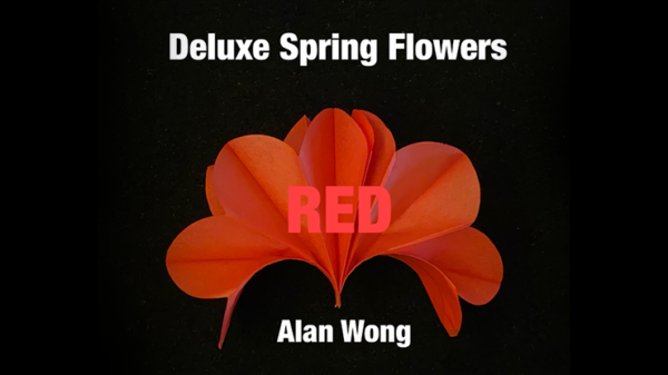 Deluxe Spring Flowers RED by Alan Wong (16 stuks)