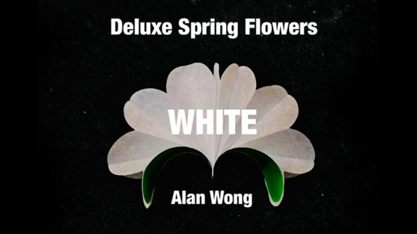 Deluxe Spring Flowers WHITE by Alan Wong (16 stuks)